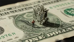 تصویر ماکرو مینیاتوری روی دلار